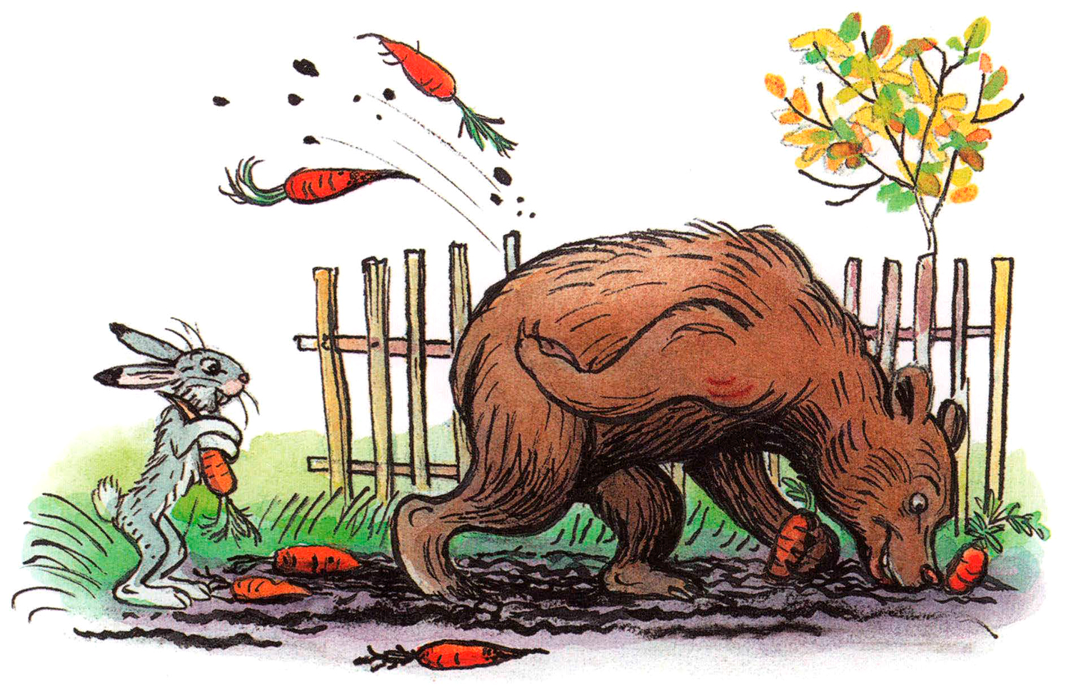 Медведь дергает морковь