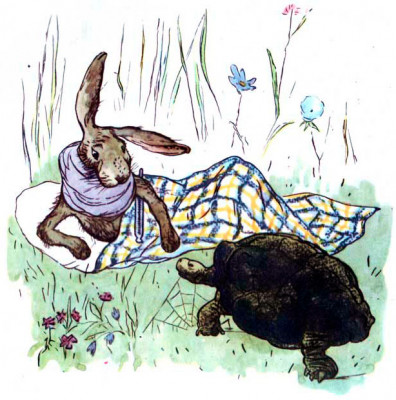 Заяц и черепаха