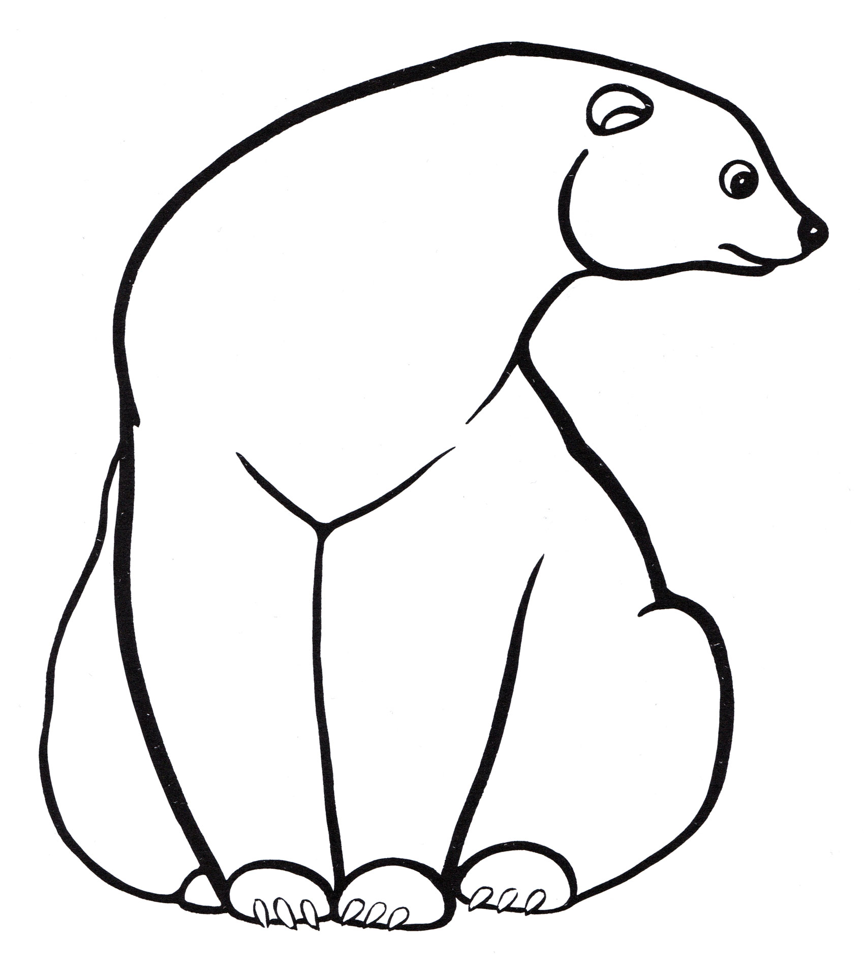 Раскраска Белый медведь на отдыхе
