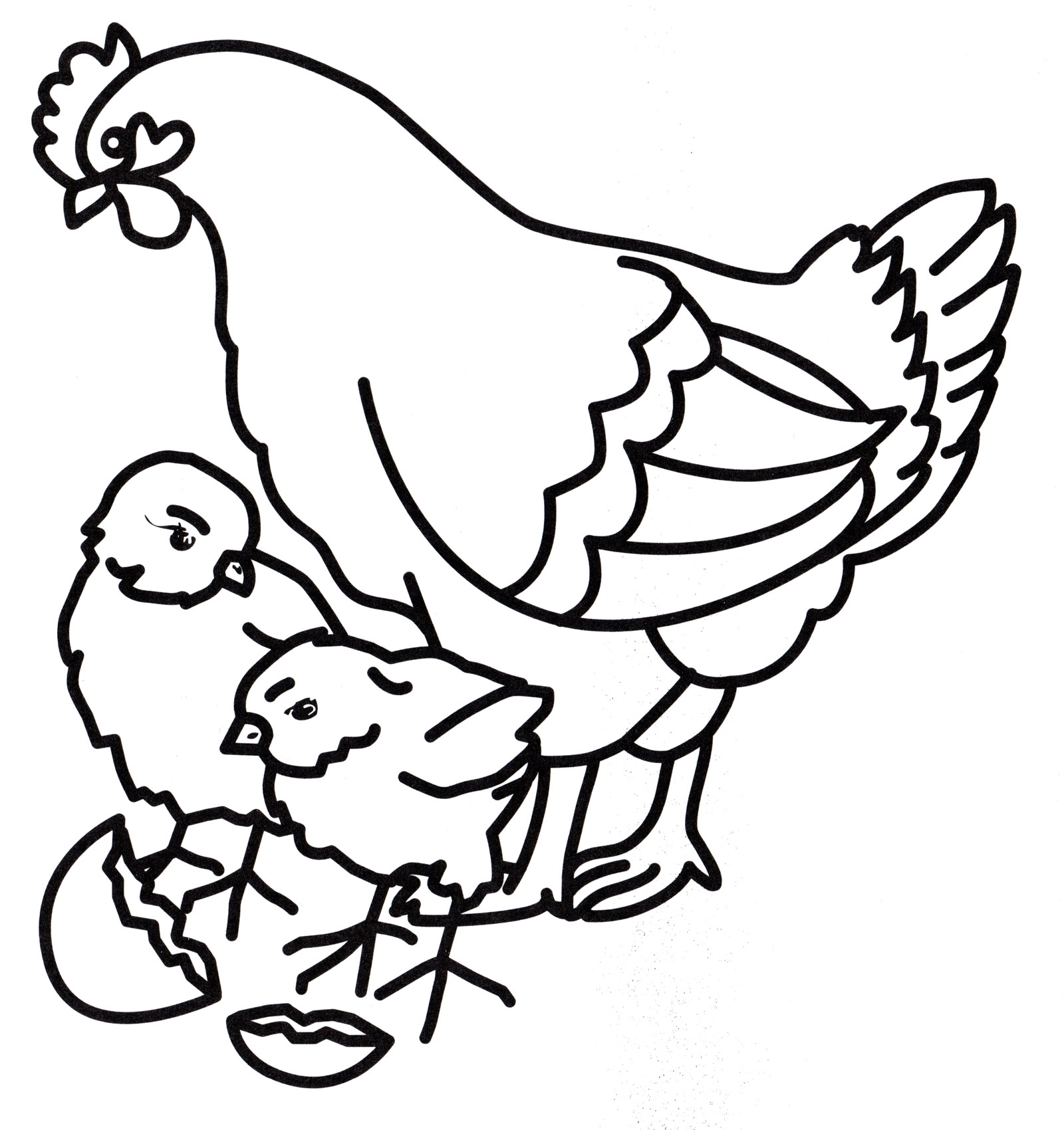 Раскраска Курица и цыплятки