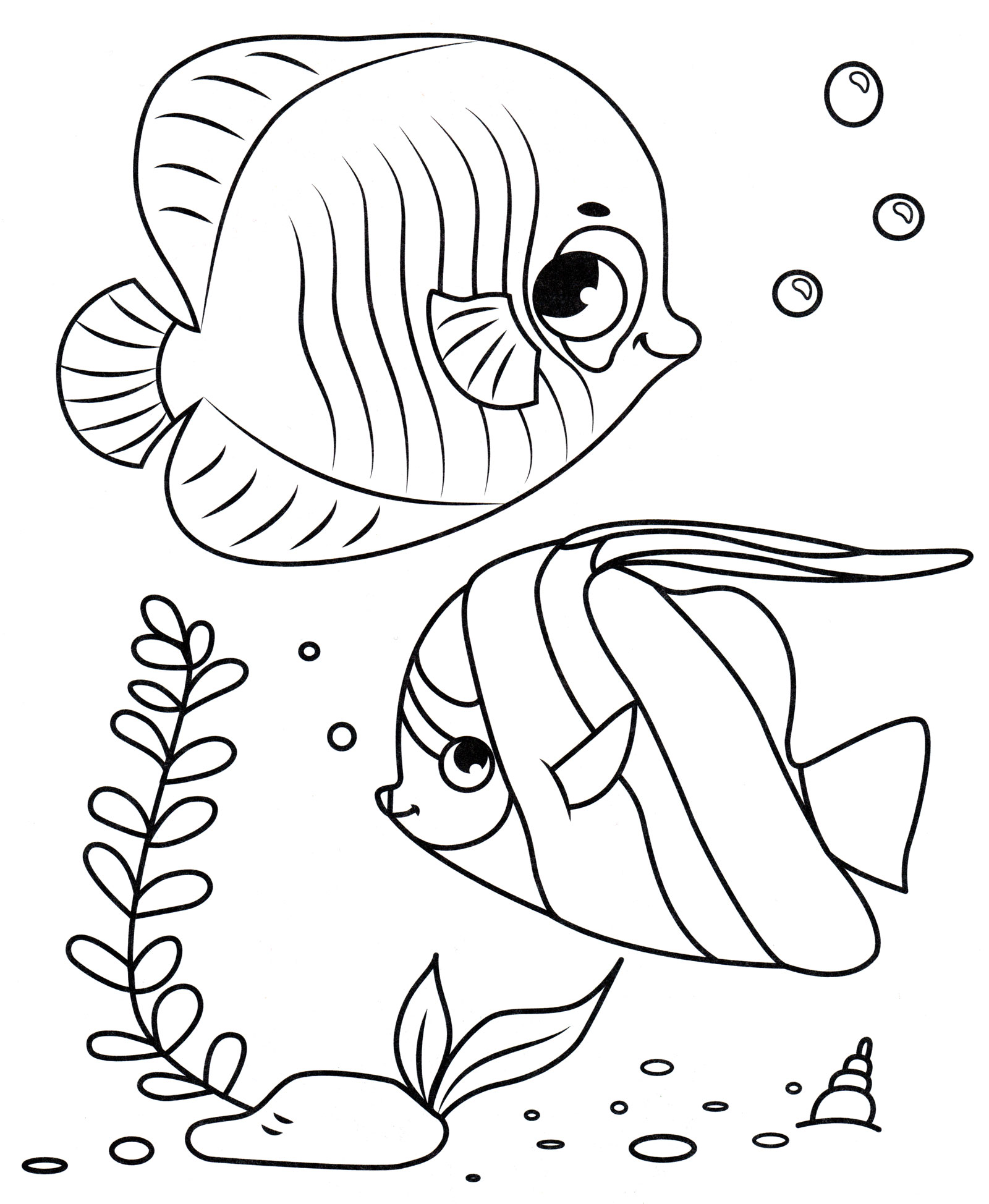 Раскраска Коралловые рыбки