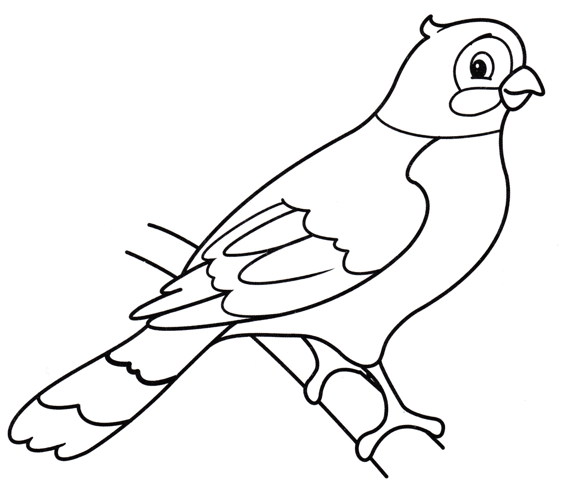 Рисунок голубь с веточкой