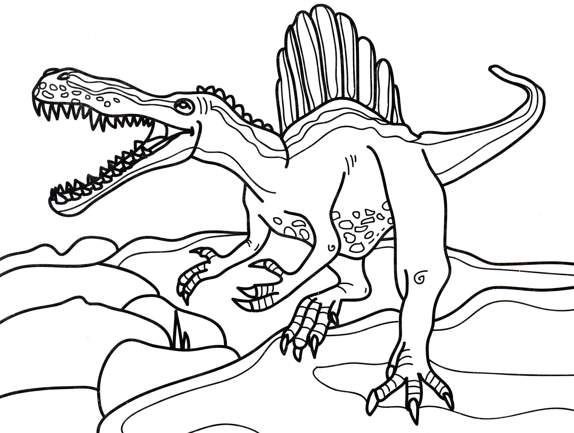 Раскраска динозавр формат а4. Раскраска динозавры Спинозавр. Свирепый Спинозавр. Спинозавр рисунок раскраска.