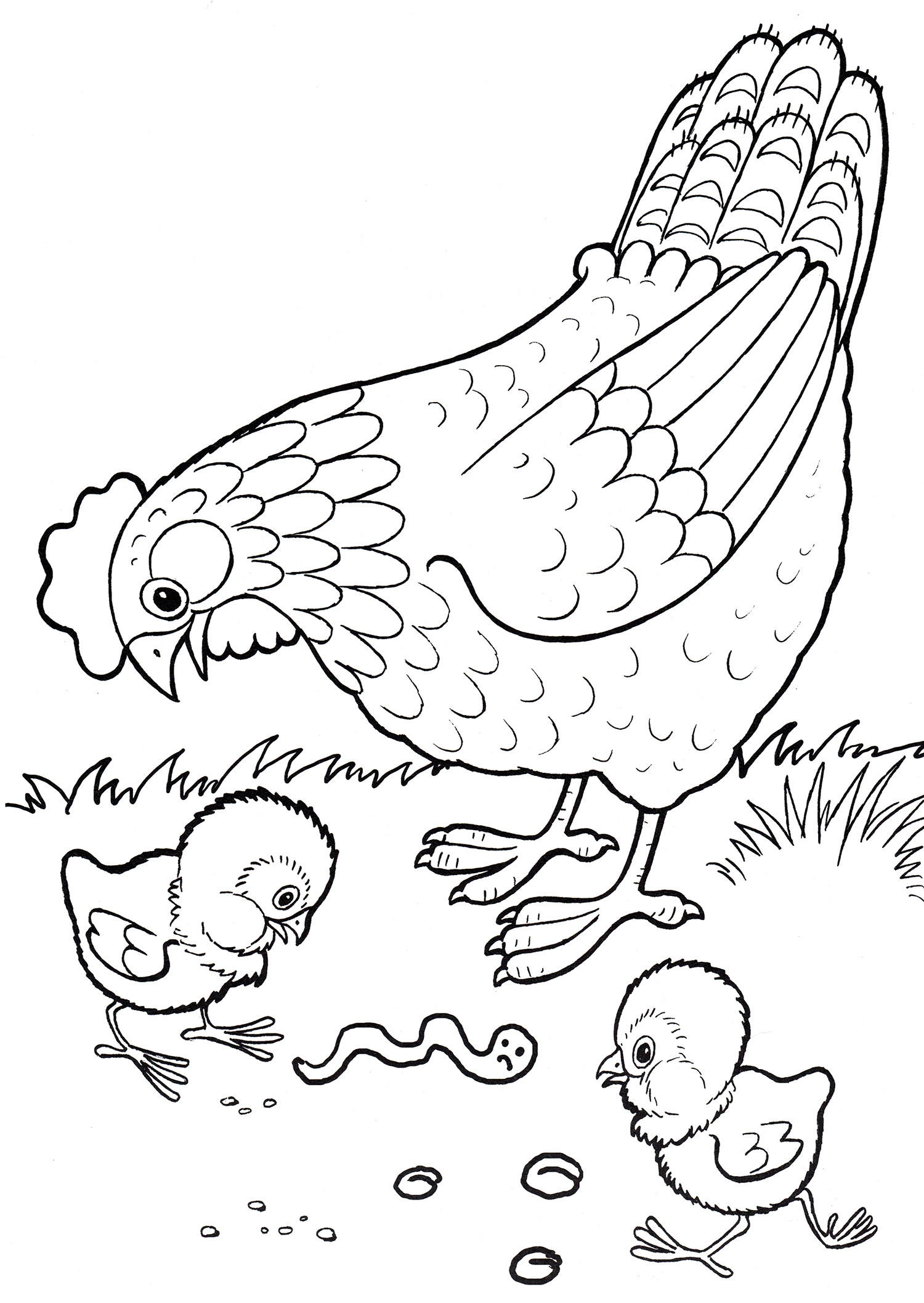 Раскраска Курица и цыплята, распечатать или скачать из категории 