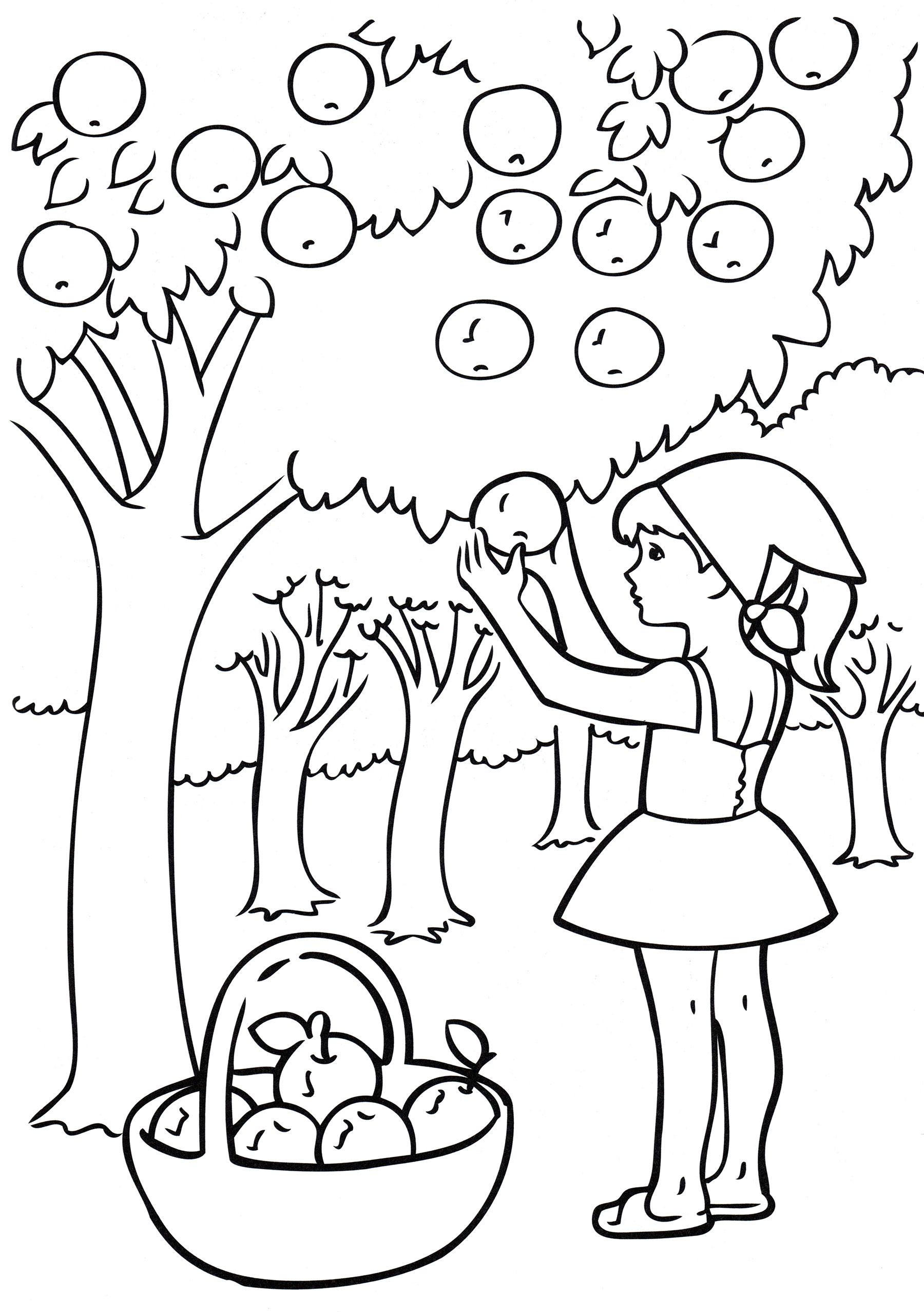 Раскраска Девочка собирает яблоки
