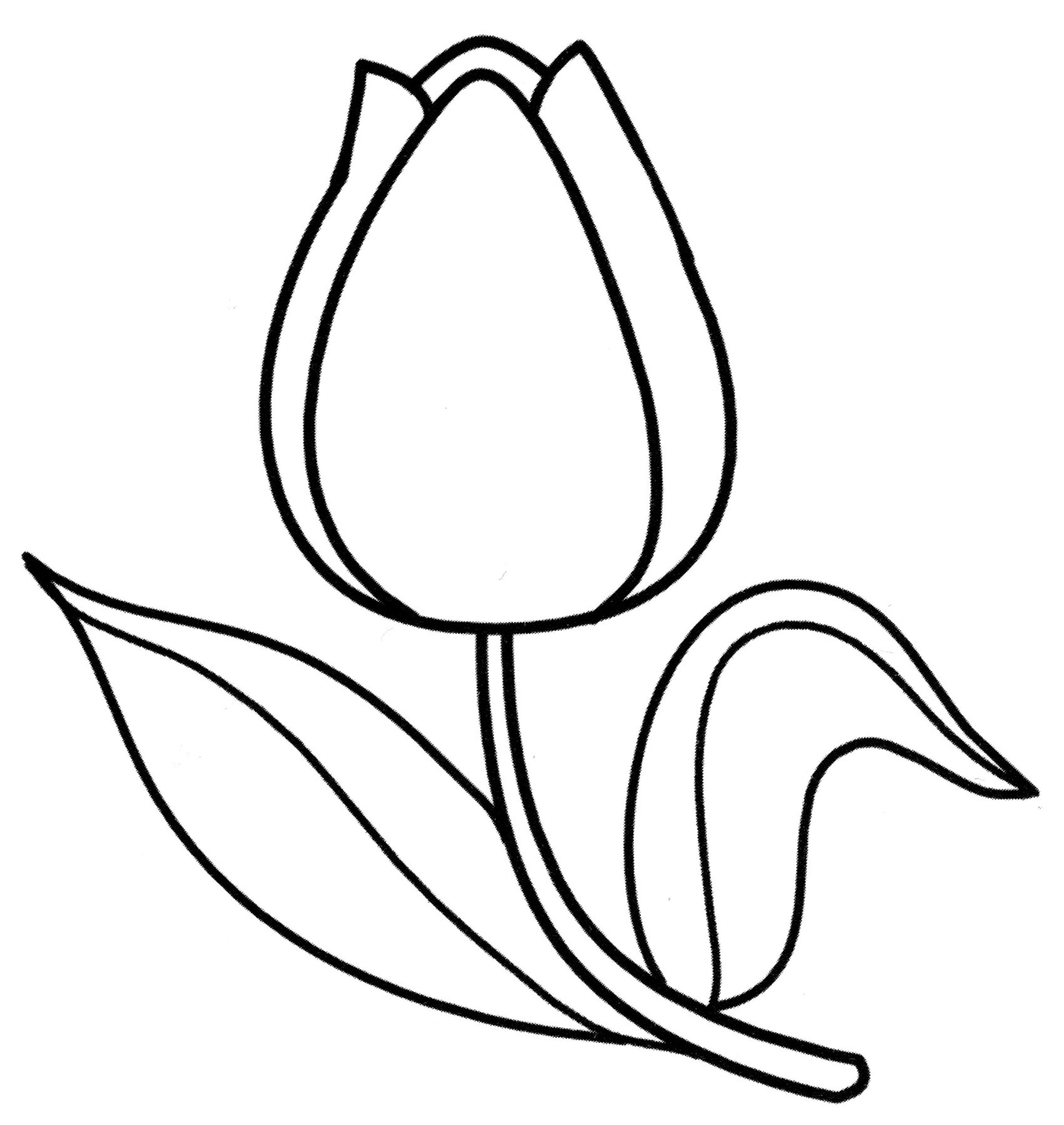 Раскраски онлайн Тюльпаны