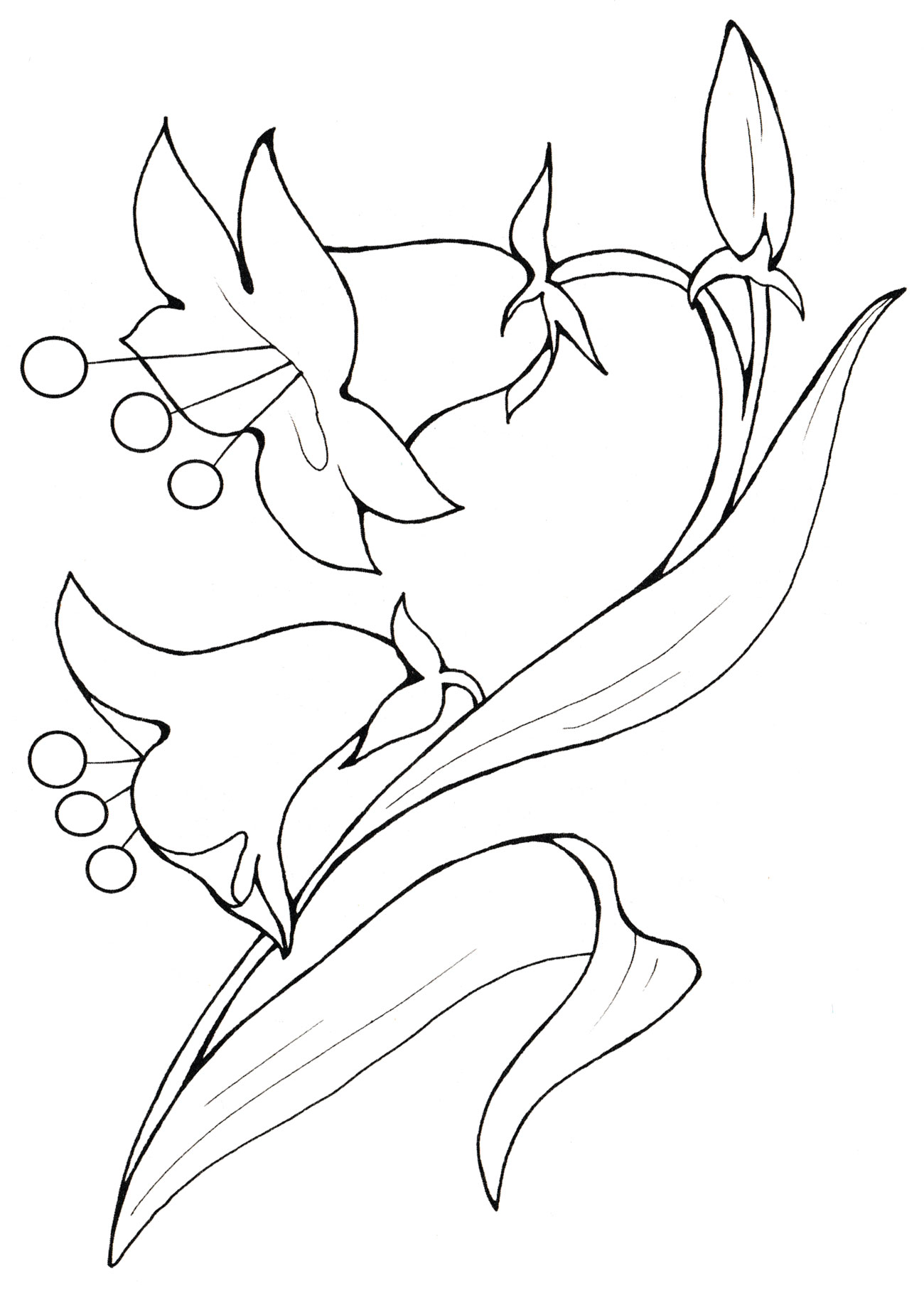 Раскраска Колокольчик - цветок