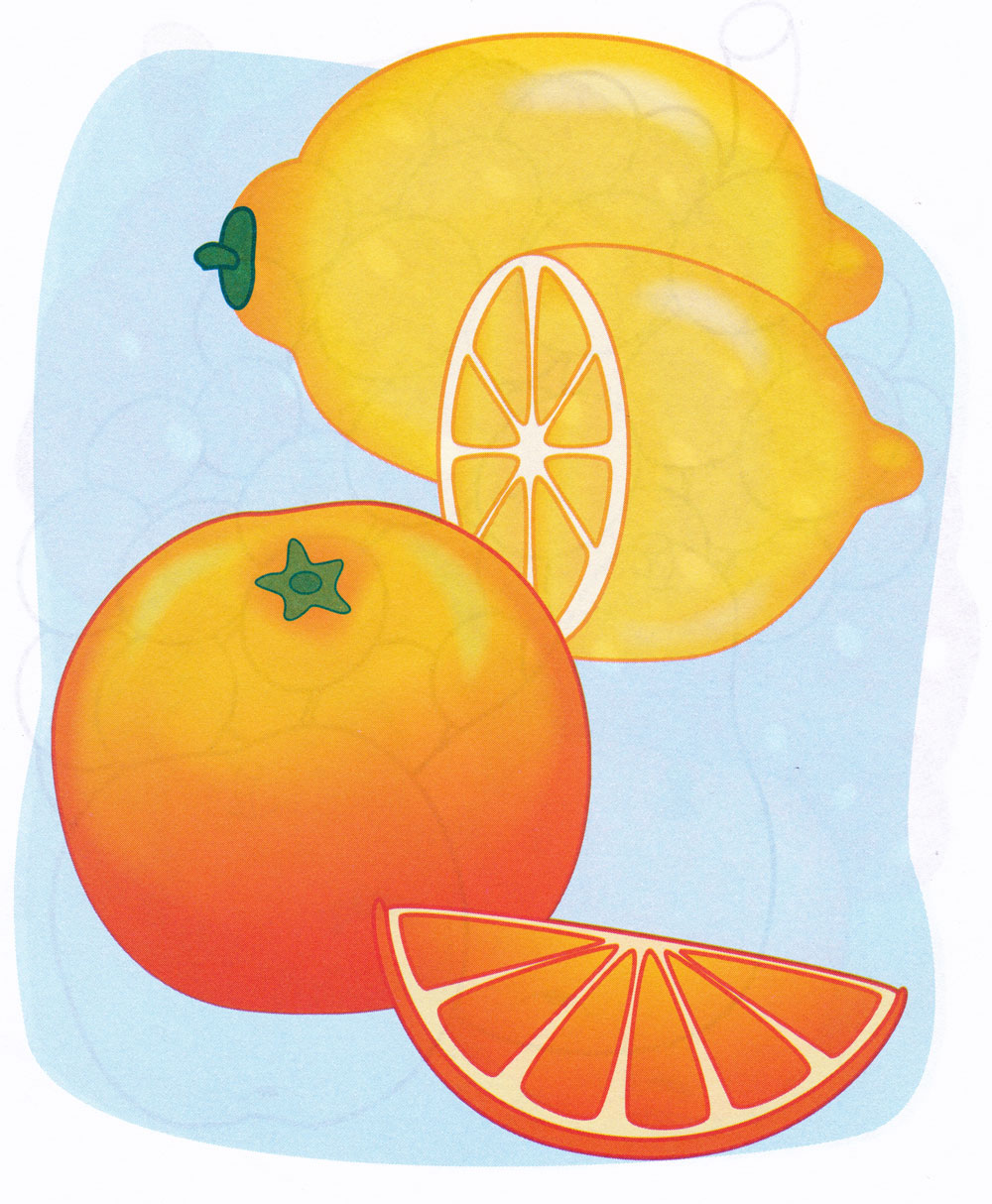 Раскраска апельсин | paraskevat.ru