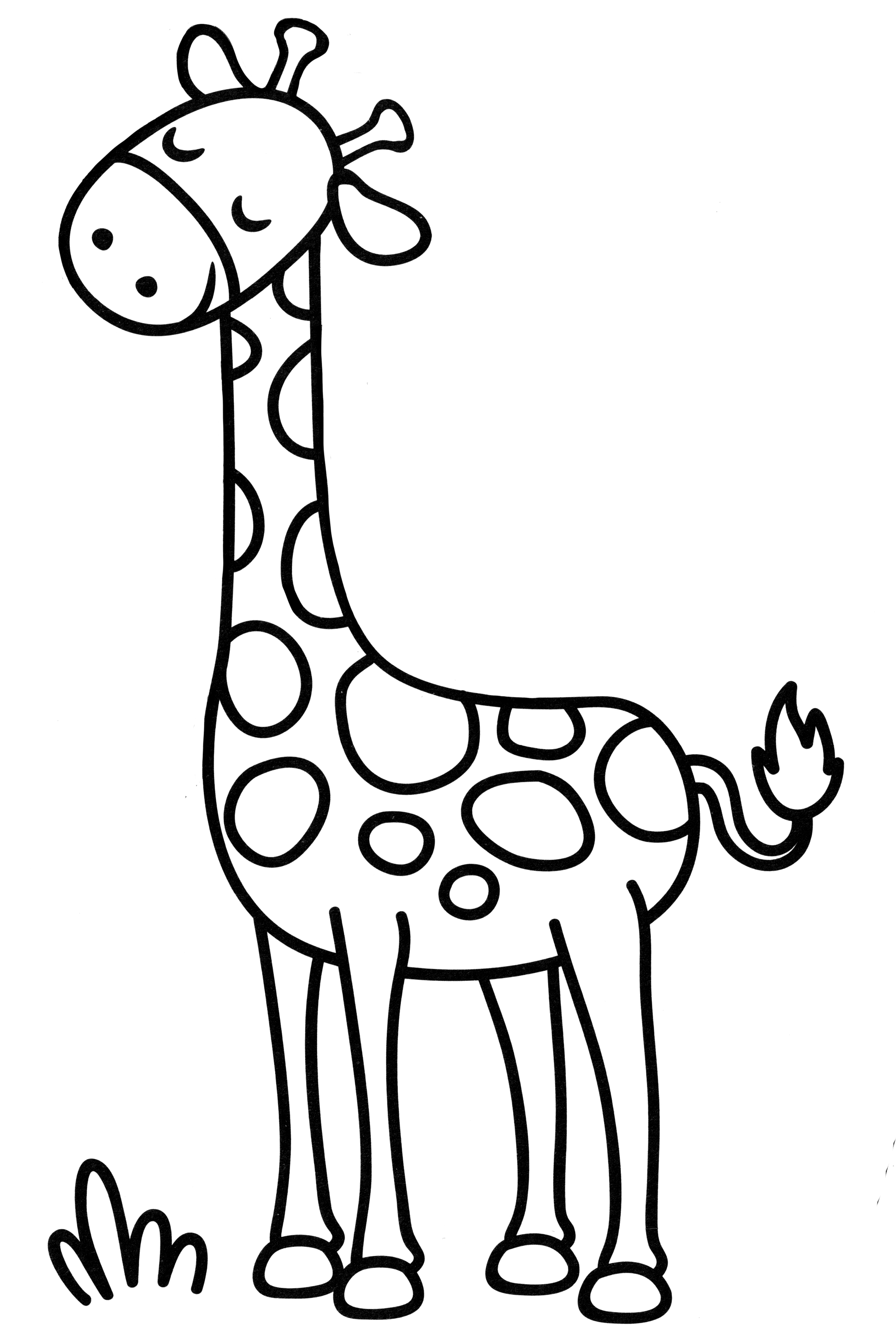 Раскраска Красивый жираф
