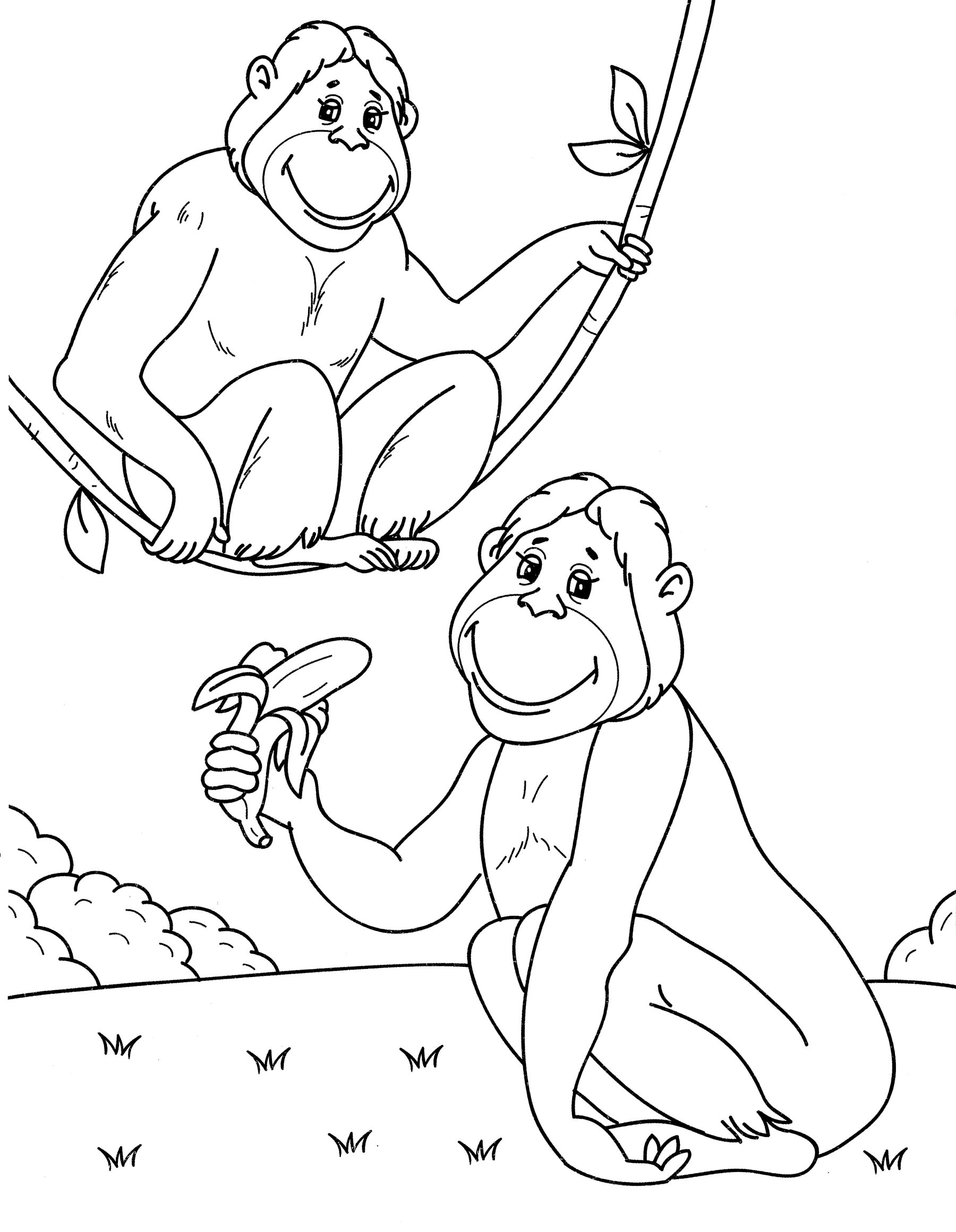 Раскраска Две обезьянки на лужайке