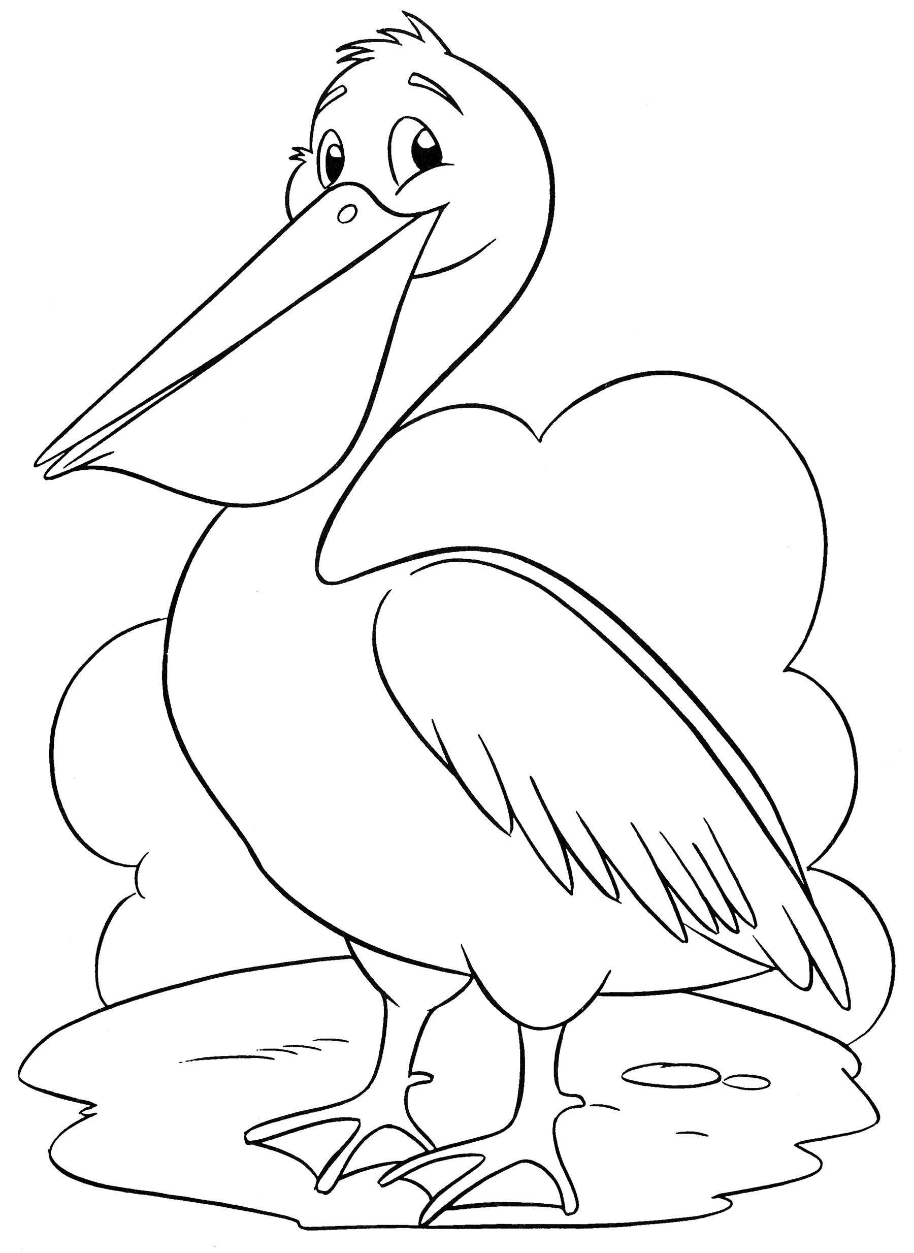 Раскраска Милый пеликан