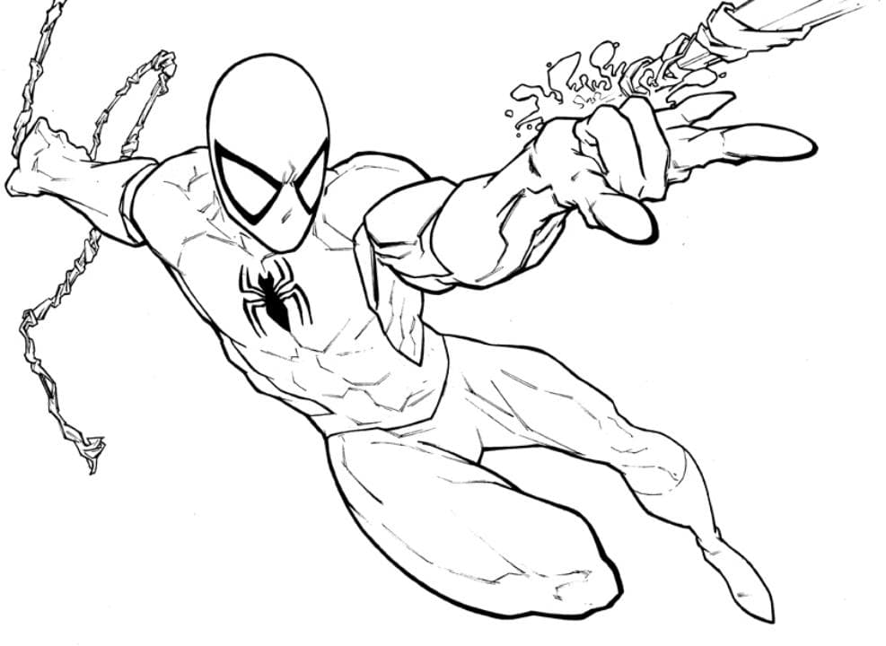 Раскраска Человек паук на паутине