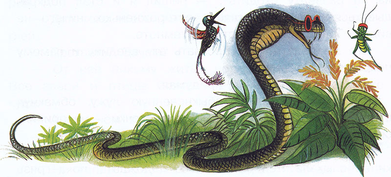 Змея и кузнечик