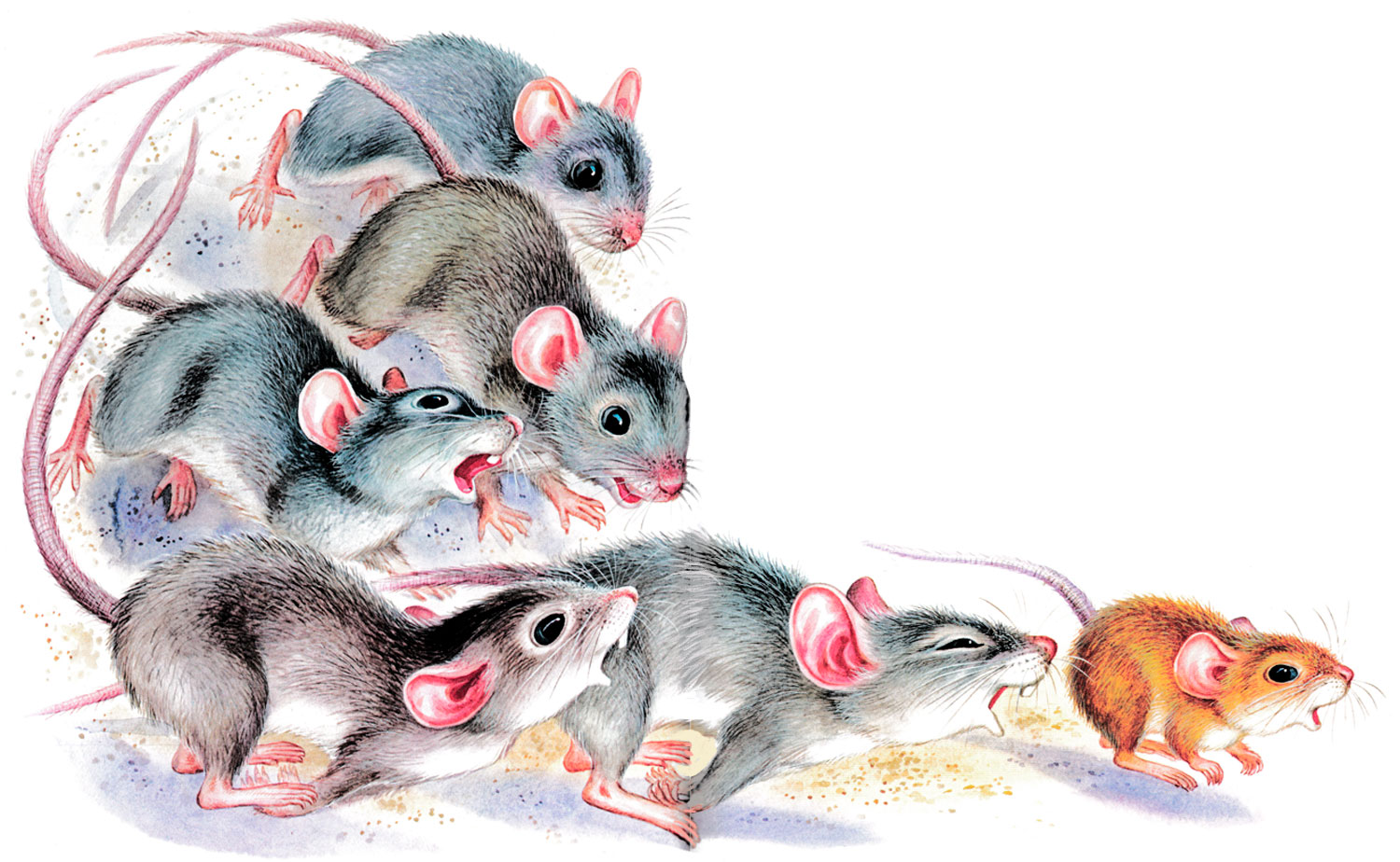 Семейка мышей