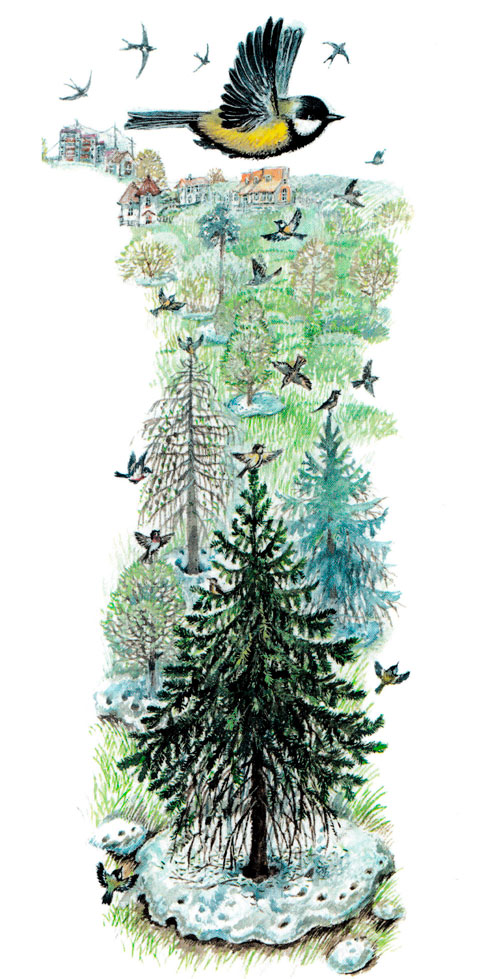 Синичка летит над лесом