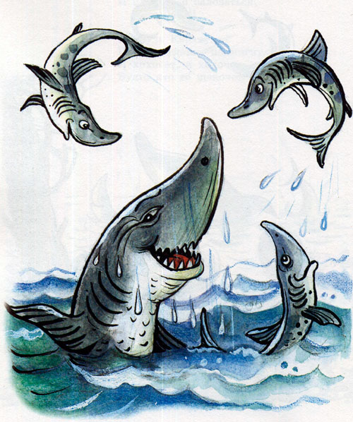 Айболит - акулы
