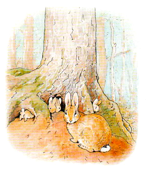 Сказка Кролик Питер и его друзья - Беатрис Поттер, читать онлайн