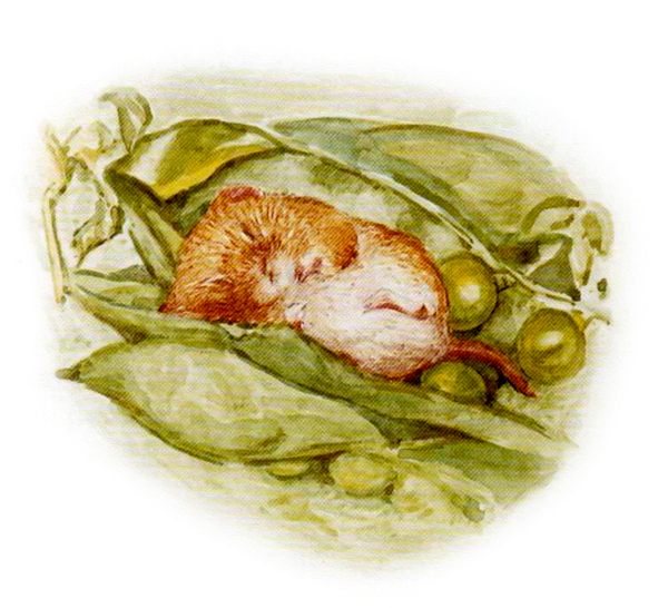 Мышонок спит в горохе