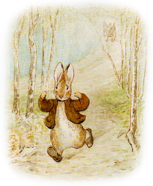 Кролик бежит по лесу