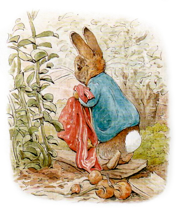 Кролик рассыпал лук