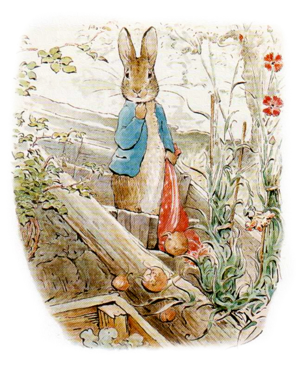 Кролик с рассыпанным луком