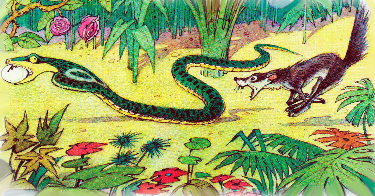 Змея убегает от Рикки Тикки Тави