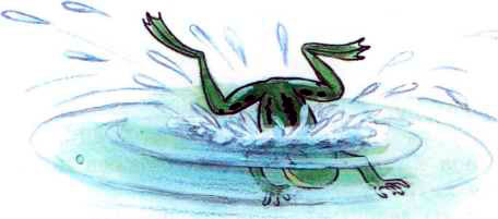 Лягушонок нырнул в воду