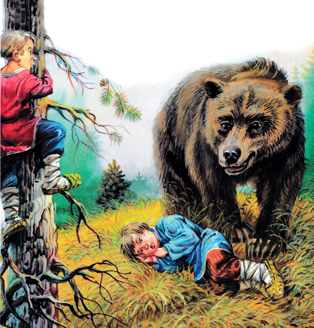 Медведь и мальчики