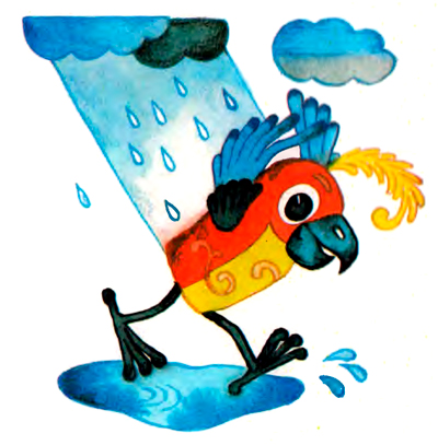 Попугай идет под дождем