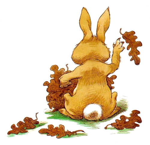 Кролик раскидывает листья
