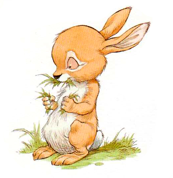 Кролик ест травку