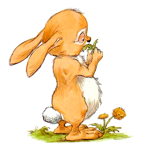 Кролик ест лист одуванчика