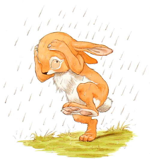 Кролик бежит под дождем