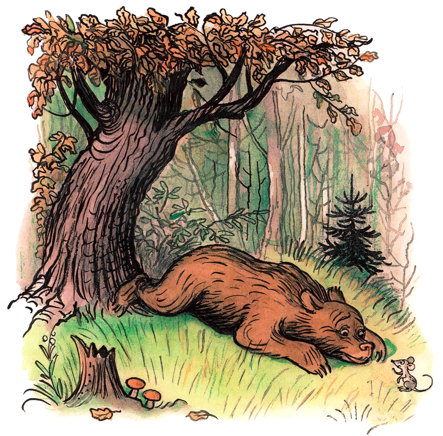 Медведь отдыхает в лесу