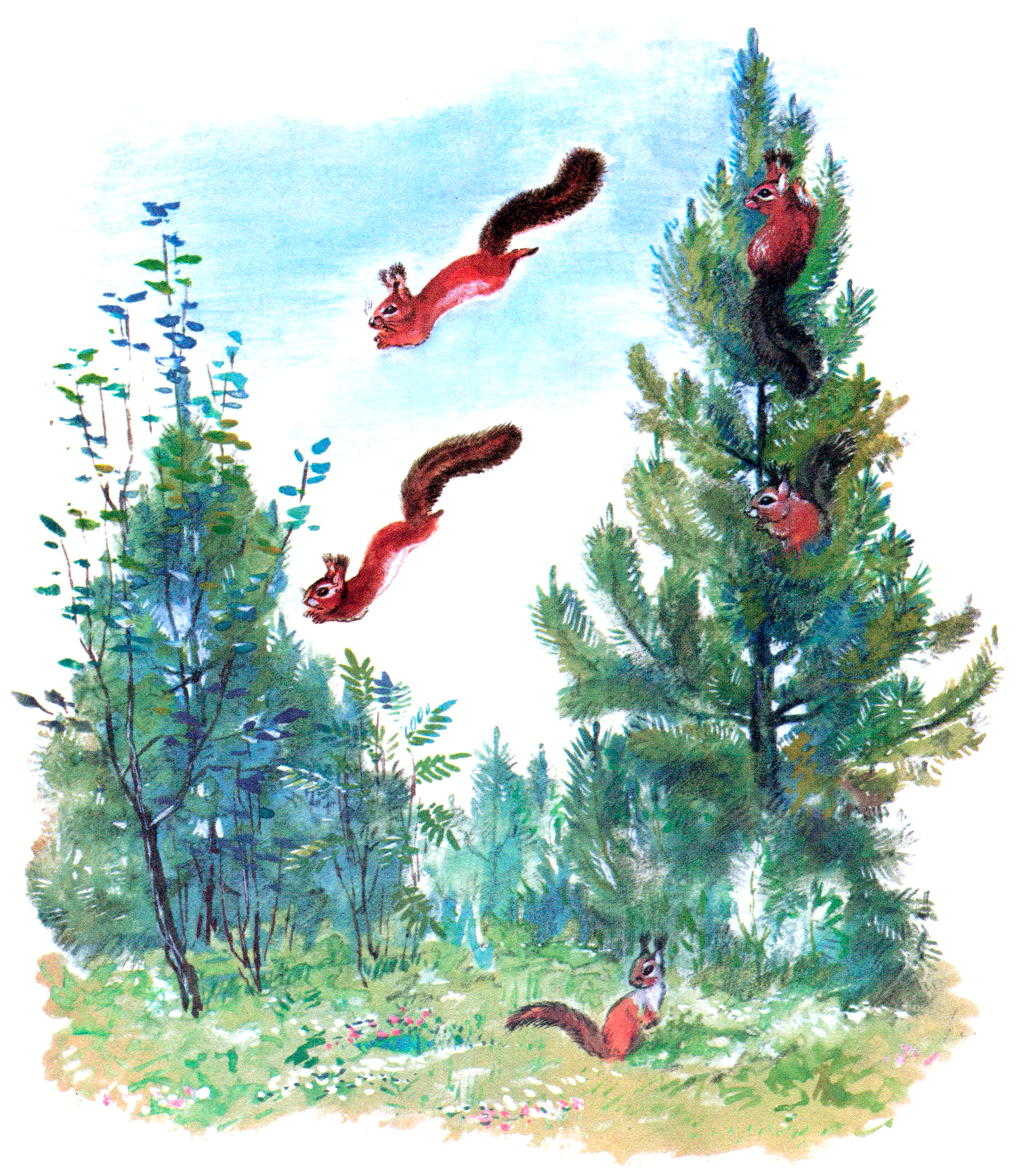 Бельчата прыгают по дереву