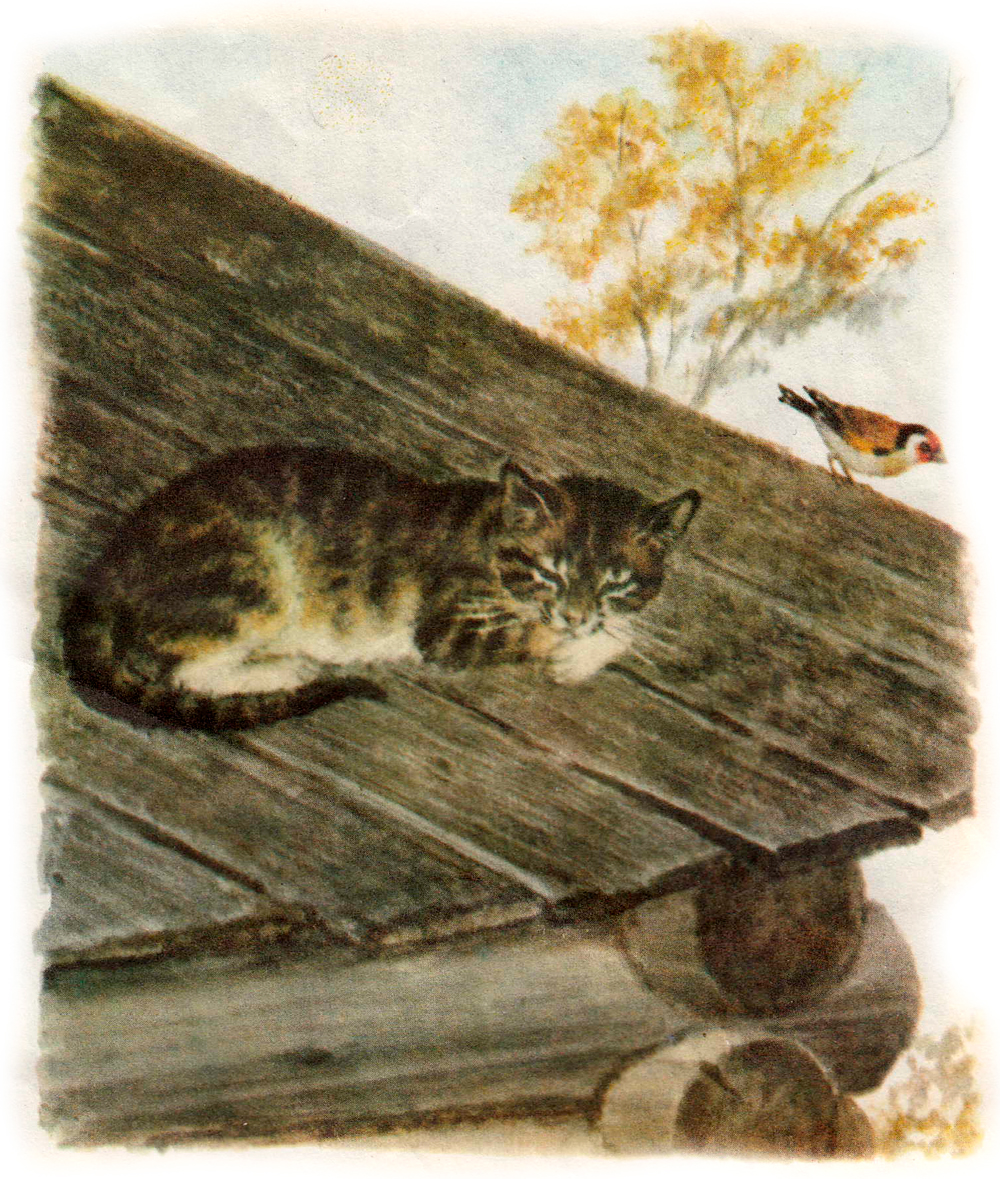 Распечатать текст на крыше. Л Н толстой спала кошка на крыше. Рассказ л.Толстого спала кошка на крыше. Л. Н. Толстого «спала кошка на крыше». Иллюстрации к рассказу Толстого спала кошка на крыше.