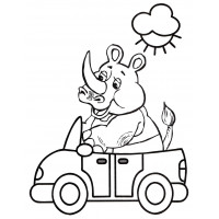 Носорог катается на машине