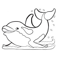 Дельфин плещется в воде