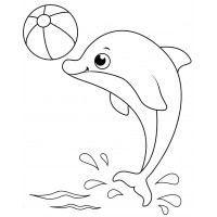 Дельфин с мячиком