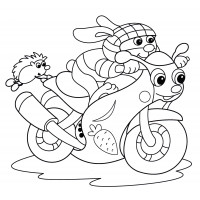 Заяц на мотоцикле