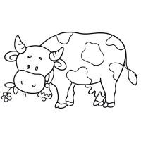 Корова кушает травку