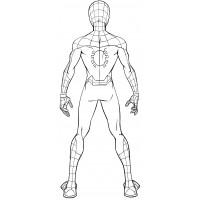 Человек-паук со спины