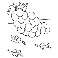 Гроздь винограда с листиками