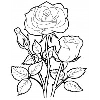 Веточка розы
