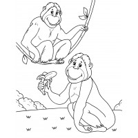 Две обезьянки на лужайке