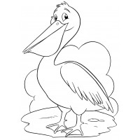Милый пеликан