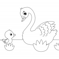Лебедь со своим птенцом