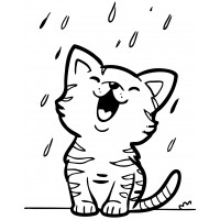 Котик радуется дождю