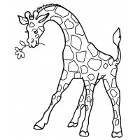 Жираф с цветочком