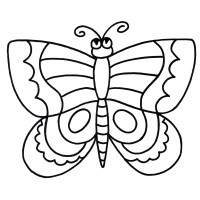 Раскраска Простая бабочка